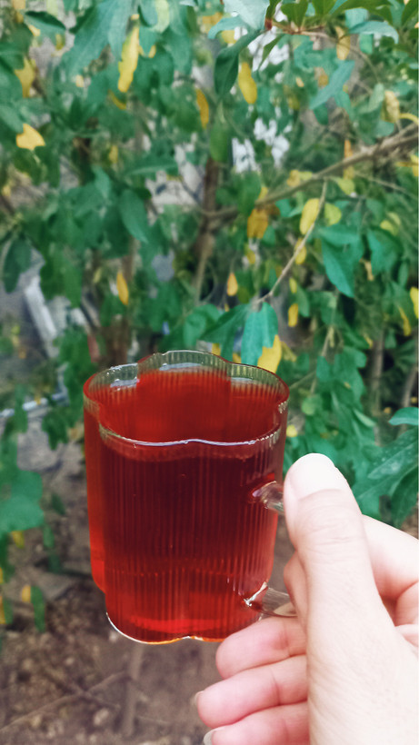 لیوان طرح گل پینترستی 🍻